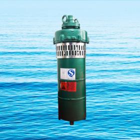 QS小型潛水電泵、QST660V特種電泵